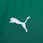 Camisa Palmeiras Home / fan - 26/27