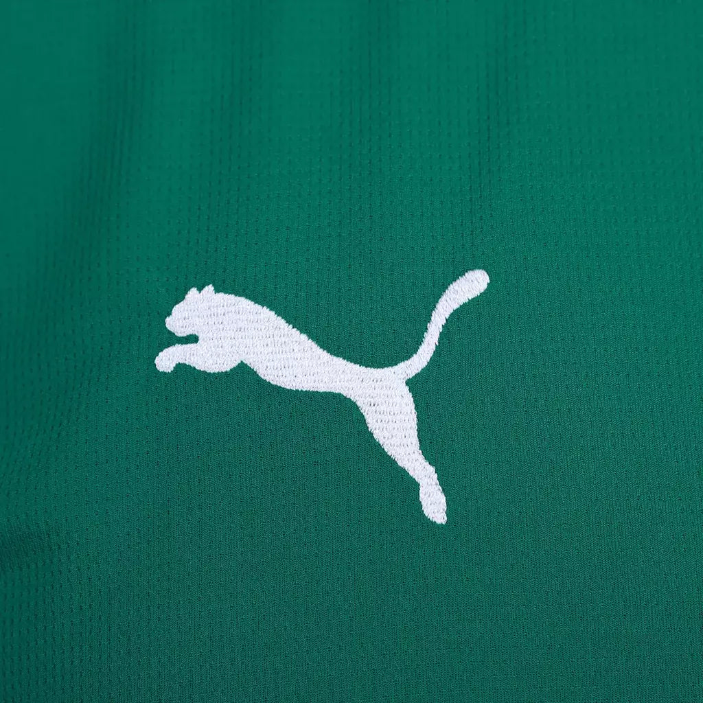 Camisa Palmeiras Home / fan - 26/27