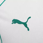 Camisa Palmeiras II / Modelo fan - Temporada 26/27 (Cópia)