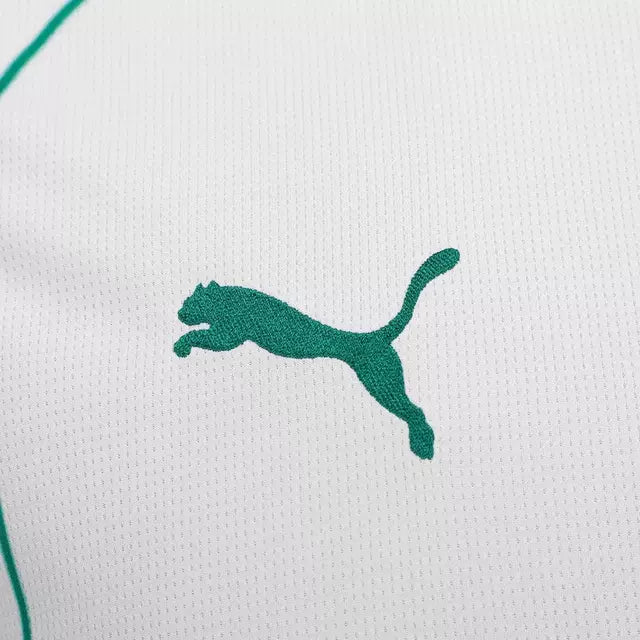 Camisa Palmeiras II / Modelo fan - Temporada 26/27 (Cópia)
